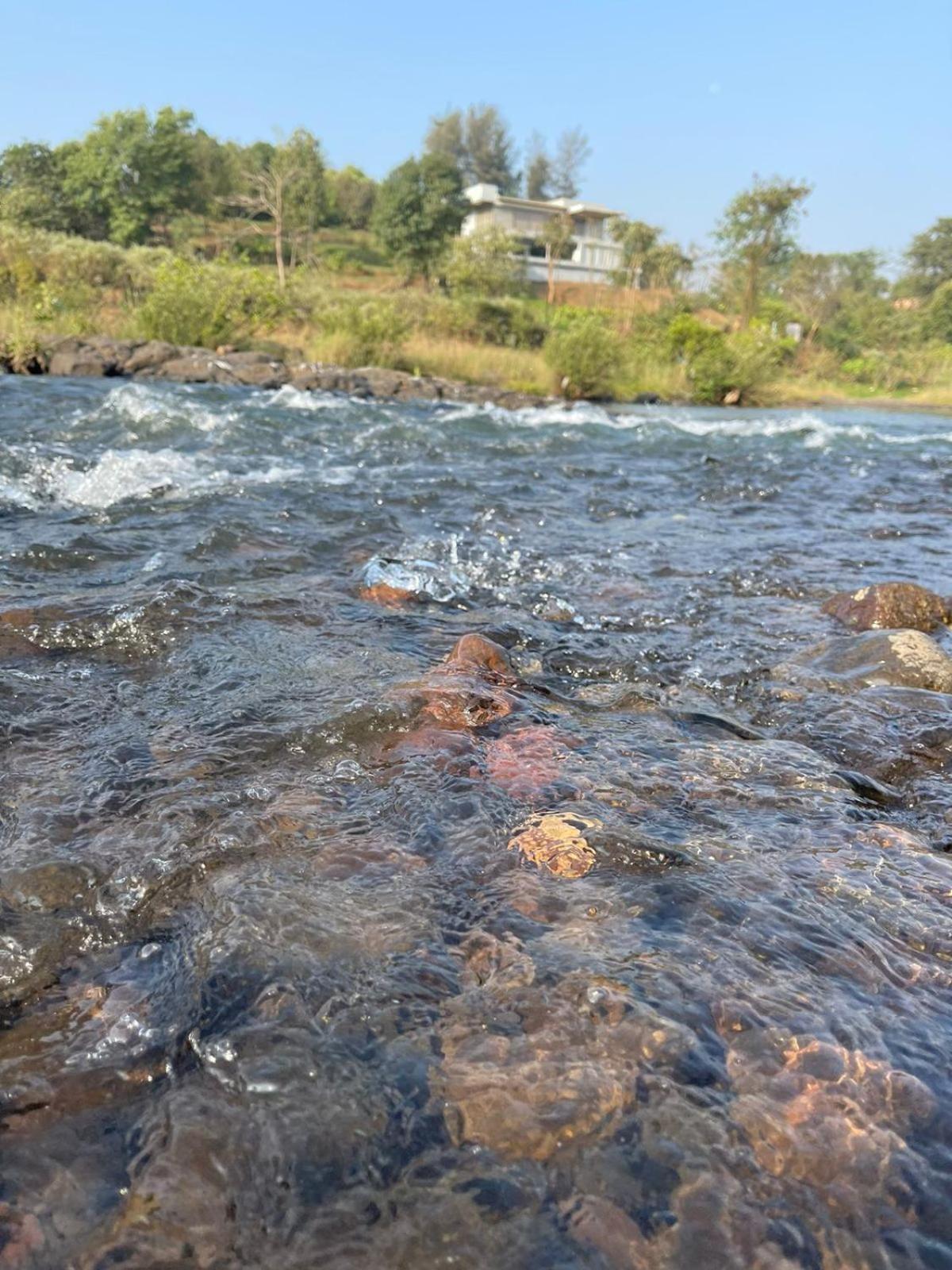 Sohana Eco Retreat Farmhouse - Karjat Chinchavli Номер фото